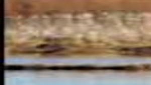 Pike Fishing On The Fly Missoula S Neal Cote Has Landed Plenty Of The Toothy Monsters With A Tactic Many Anglers May Not Have Considered Outdoors Missoulian Com