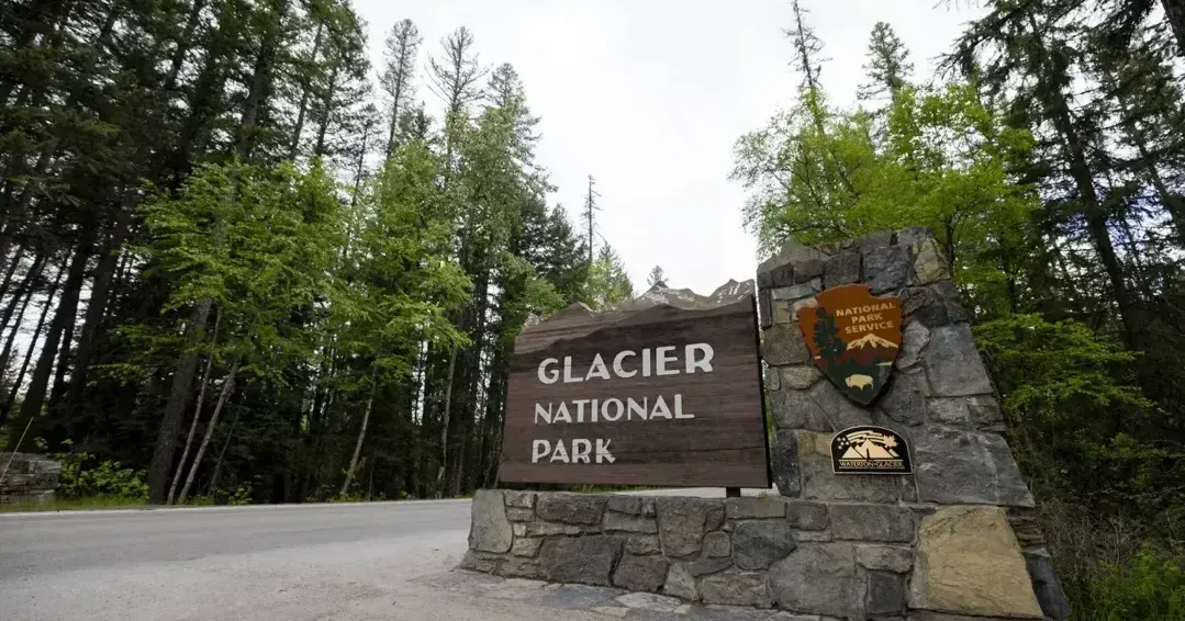 Hiker injured in surprise encounter with grizzly in Glacier National Park