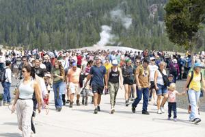Yellowstone National Park visits decline for 3rd month
