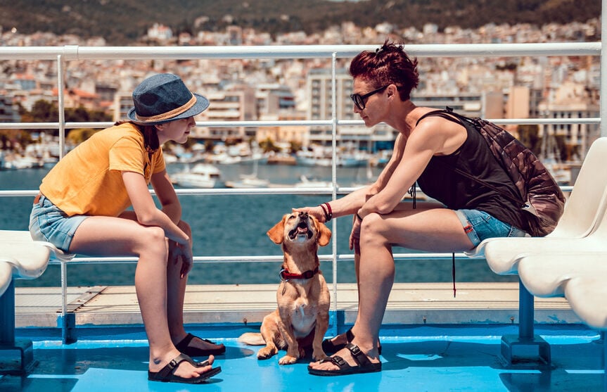 All paws aboard! Canine cruises to bark about (image)