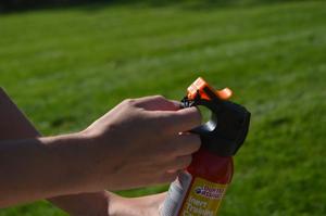 Groups petition Montana FWP to require hunters to carry bear spray