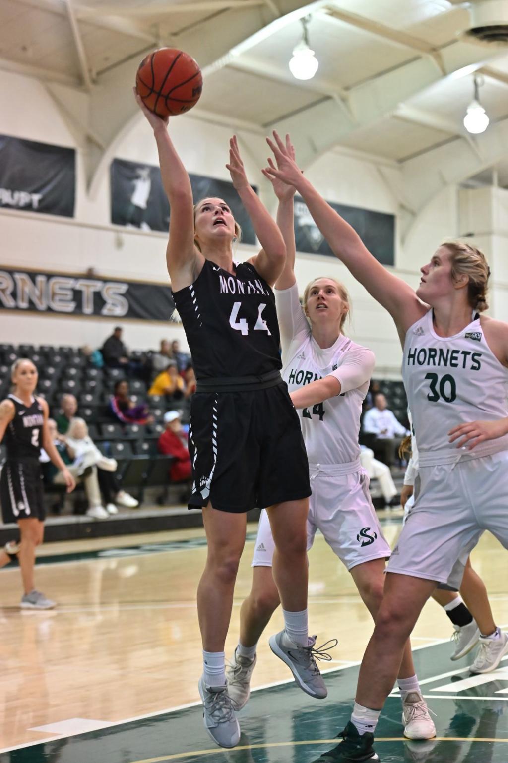 Montana Lady Griz Swat Sac State Hornets Move To 2 0 In League
