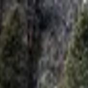 Patrol Reminds Hunters To Be Responsible In Grizzly Bear Country Territory Missoulian Com