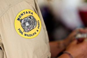 FWP: Hunter attacked by bear south of Augusta, sustains non-life-threatening injuries