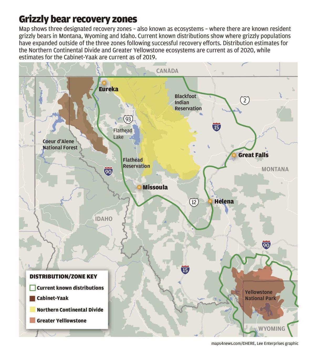 Connecting recovery zones may benefit grizzly populations