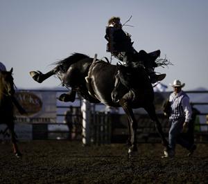 Three Montanans earn buckles in Missoula Stampede rodeo