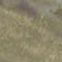 Extra Antlers Set Out For Hunters At Blackfoot Clearwater Range