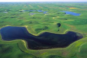 Feds pause wetland plan in prairie 'Duck Factory' after receiving 200,000 comments