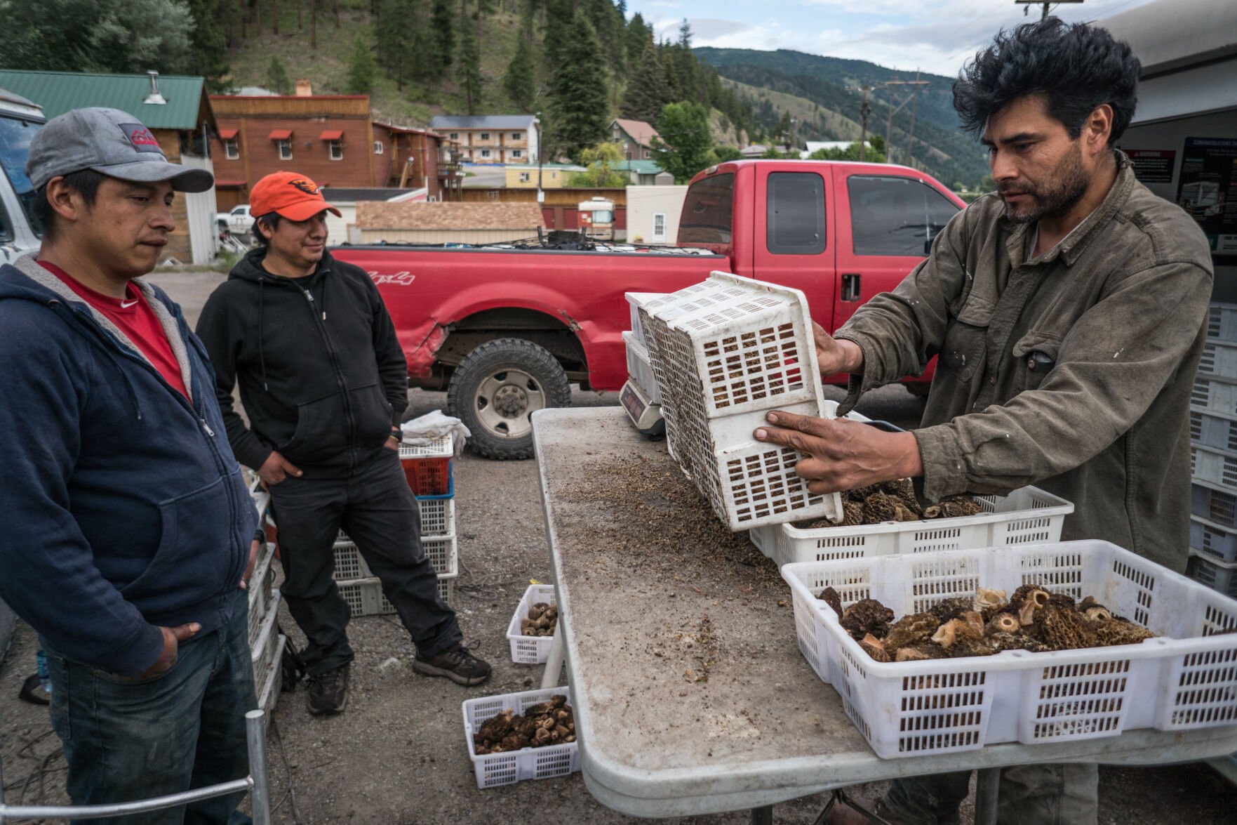 Big Sky Film Fest: Faces of the mushroom pickers in the West