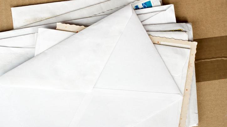 Letter to the editor: Republican Celebration ‘termite’ infestation | Letters