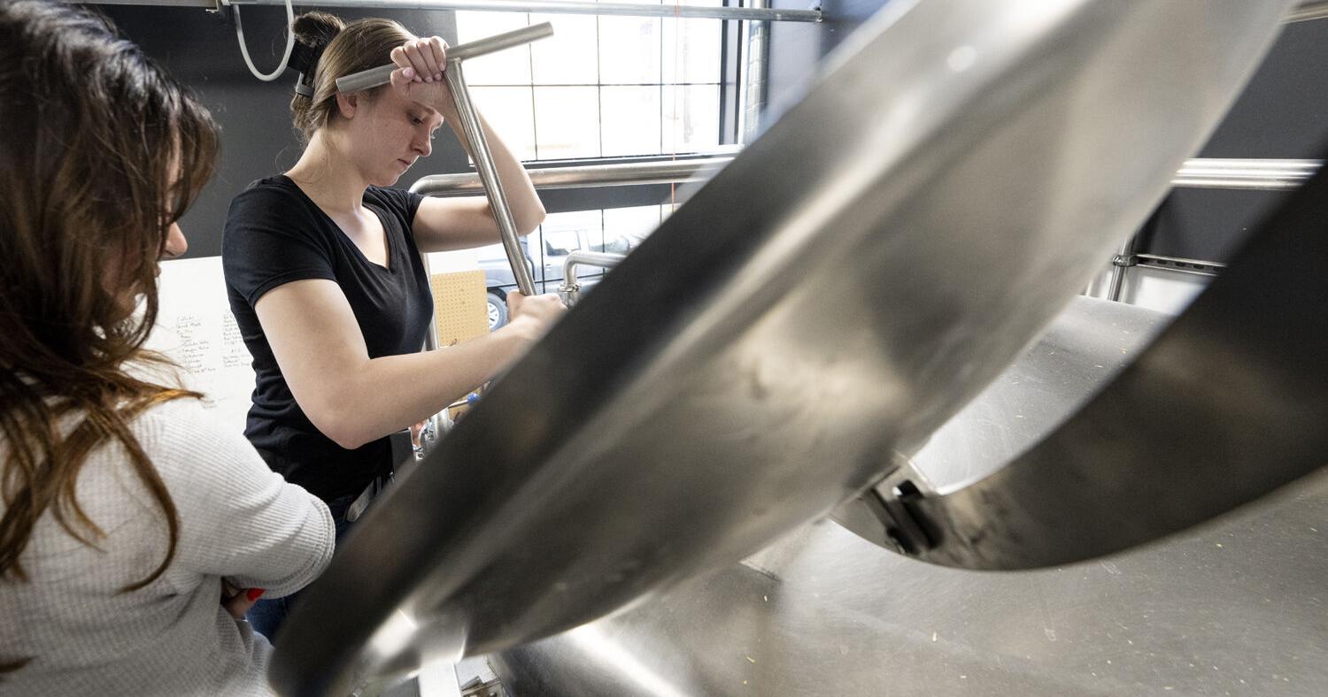 UM class teaches science of brewing beer - Vimarsana News
