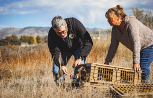 Young Montana hunters get first shot at pheasants this weekend