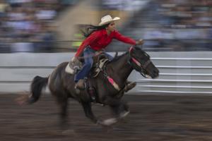 3 things to do in Missoula: Bluegrass, rodeo and cat videos