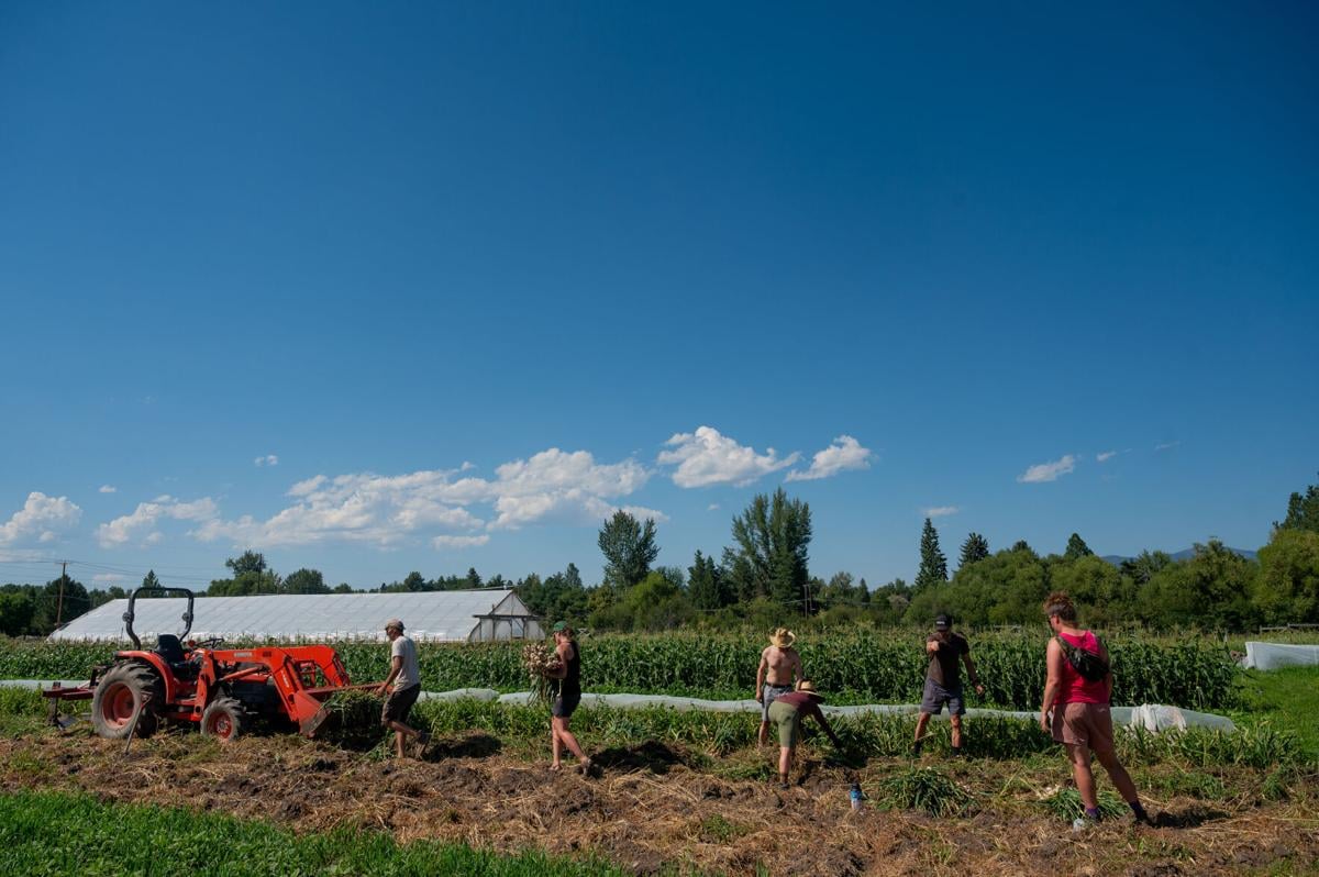 Missoula farm conservation project moves forward