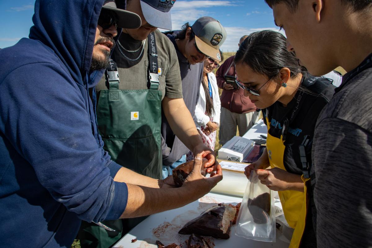 Blackfeet Community College to offer more 4-year degrees