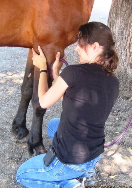 Equus and Paws