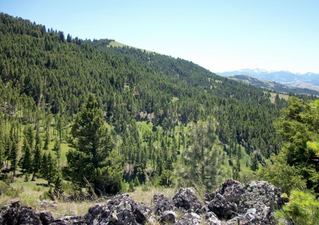 Family, RMEF protect elk habitat near Garrison