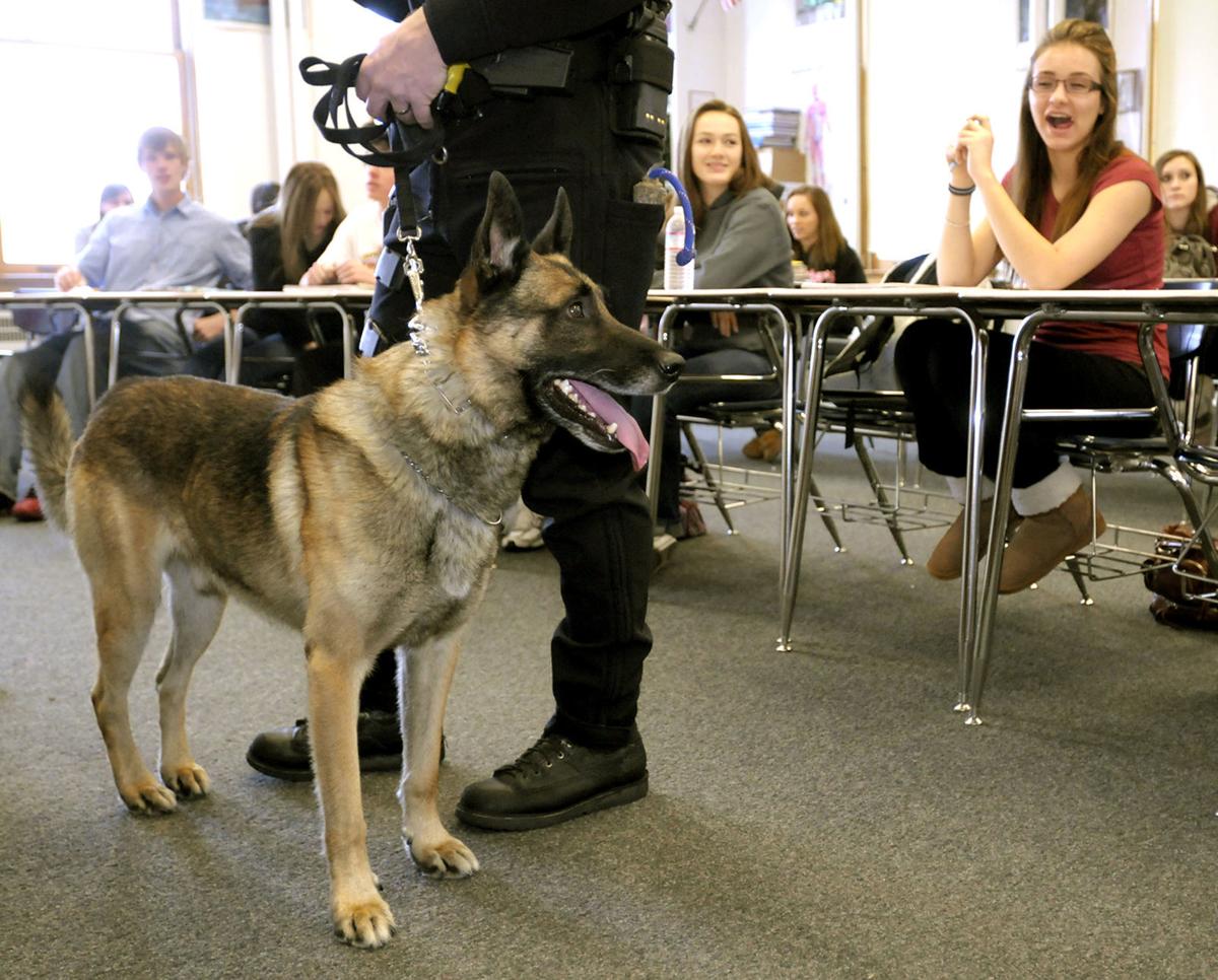 The Top Dog K9 Police Dog S Passing Mourned Local News Missoulian Com