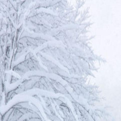 Severe Driving Conditions On I 90 To Lookout Pass Local News Missoulian Com