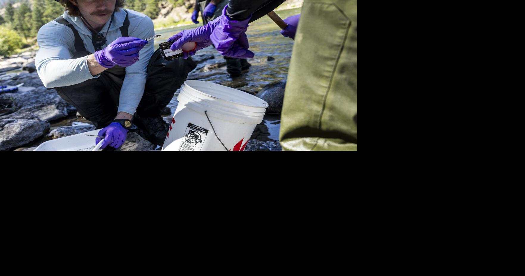 EPA dons 'Sherlock Holmes hat,' searches for source of PCBs in western Montana rivers