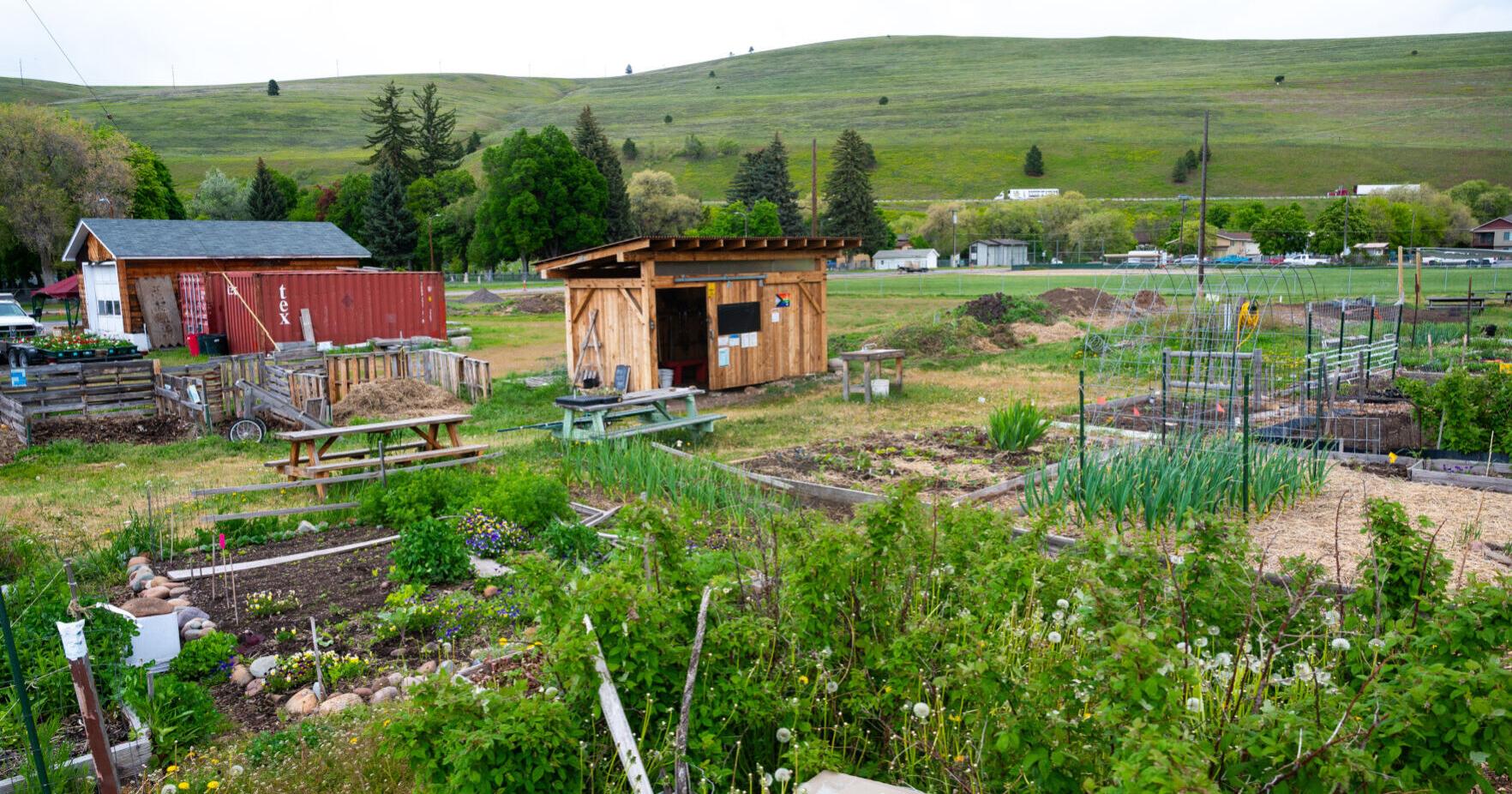 Northside Community Garden agreement advances - Vimarsana News