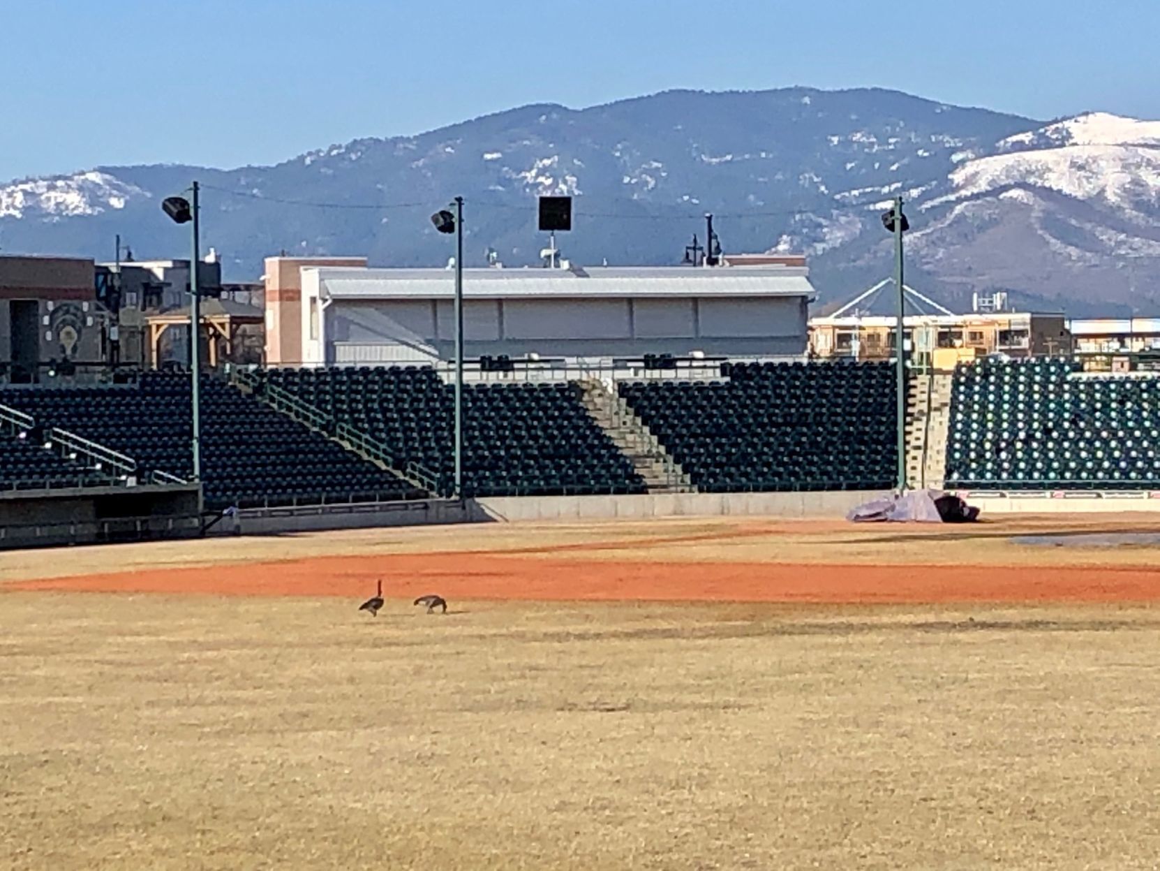 Missoula PaddleHeads To Celebrate Return Of High School Baseball With missoula-paddleheads-to-celebrate-return-of-high-school-baseball-with