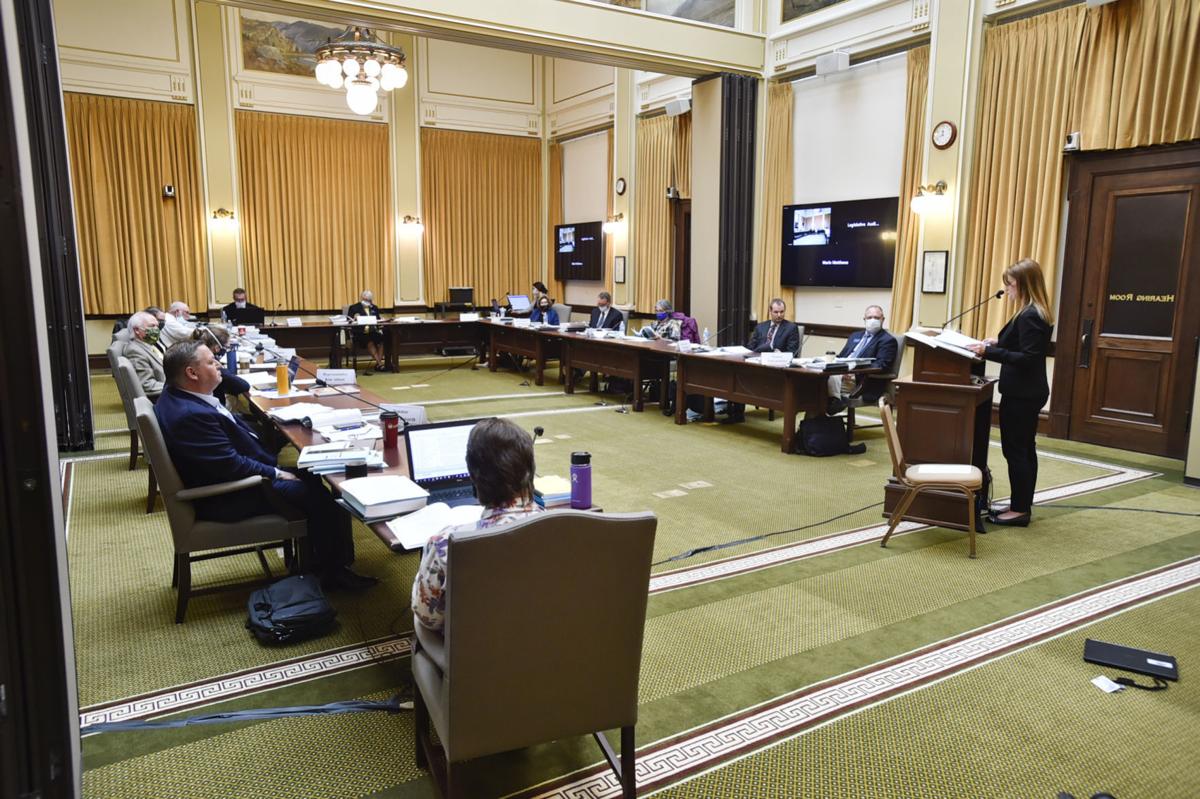 The Legislative Audit Committee hears testimony Tuesday regarding an audit of the Department of Health and Human Services at the State Capitol.