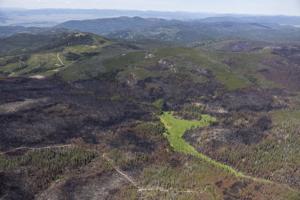 Approaching retirement, Zinke introduces bill to grow wilderness, recreation and logging