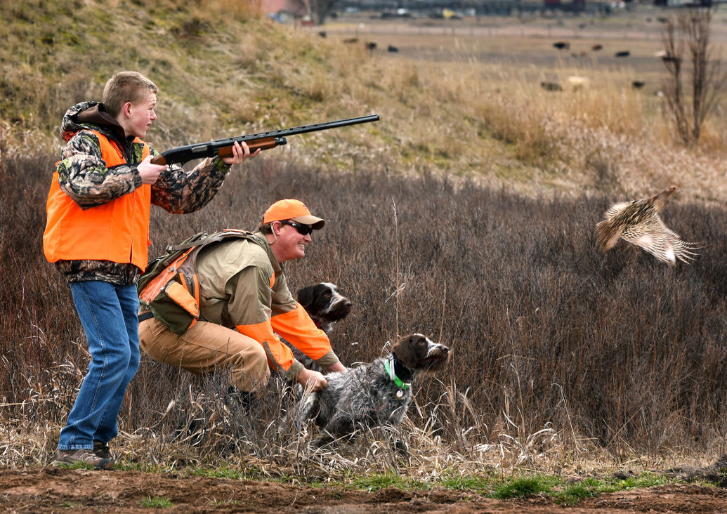 Missoula pheasant hunt teaches kids gun safety Local