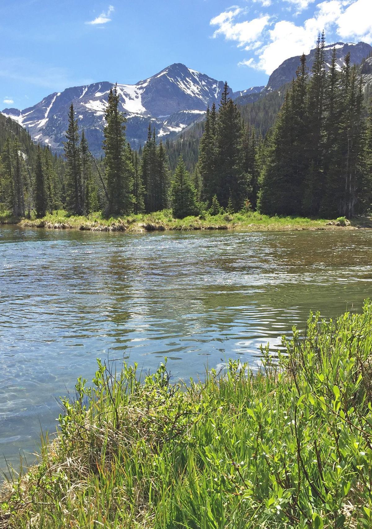 West Fork Rock Creek Gentle Scenic Hike State Regional