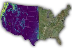 UM scientists map tree and shrub height across U.S.