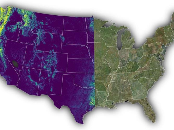 UM Scientists Unveil Free Product That Maps Trees, Shrubs Across Entire Country