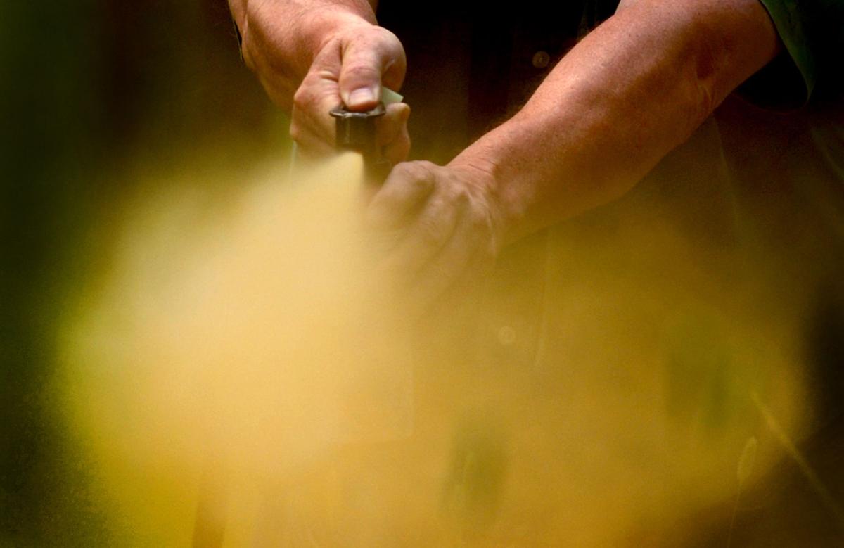 Bear spray