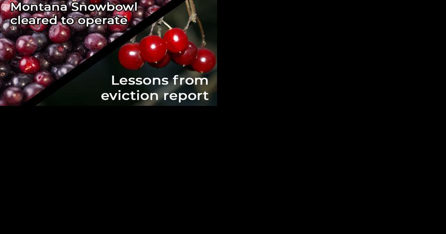 Missoulian editorial: Snowbowl yes, evictions no - Vimarsana News