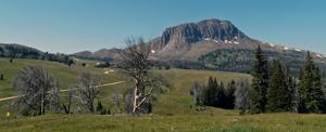 Judge stalls Gravelly Mountains logging project citing threat to grizzlies