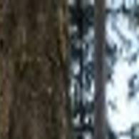 Rising Fees For Forest Service Lease A Concern Missoulian Com
