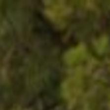 Missoula County Floodplain Map Floodplain Map Update Affects Hundreds Of Properties In Missoula County |  Local News | Missoulian.com