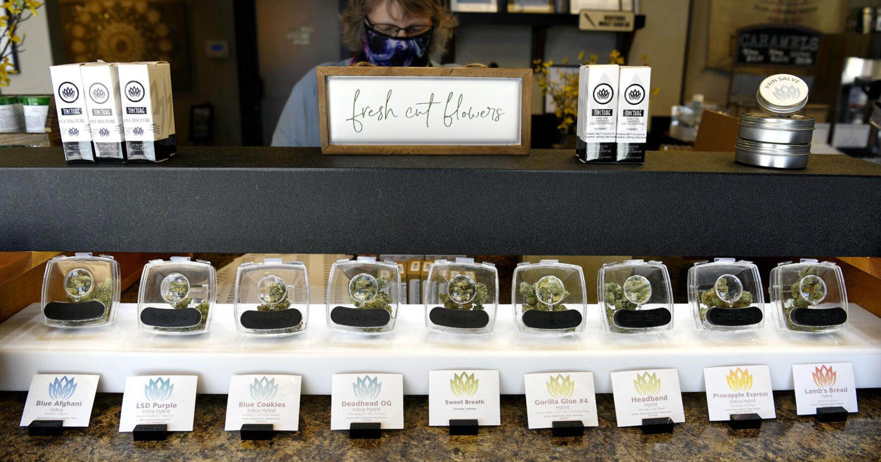 Missoula to consider temporary ban on new dispensaries - Vimarsana News