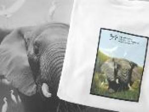 International Wildlife Film Festival