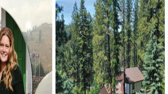 Meet The Taylor Team Missoulian Com