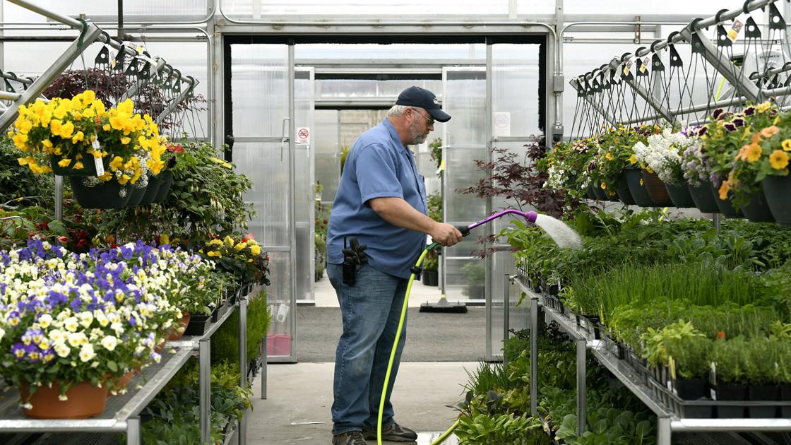 Montana Ace Opens Newly Remodeled Expanded Garden Place Local Business Missouliancom