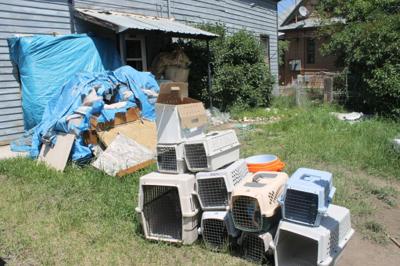 Cat hoarding case