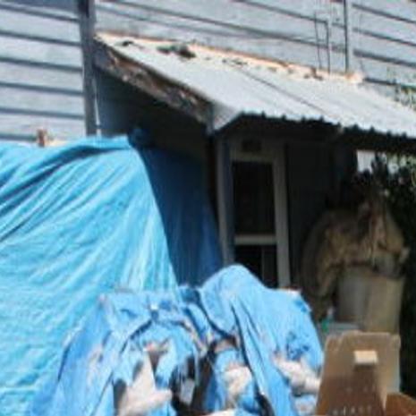 100 Cats Butte Man Charged With 7 Counts Of Animal Cruelty In