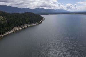 Solving the mystery of Swan Lake's vanishing bull trout