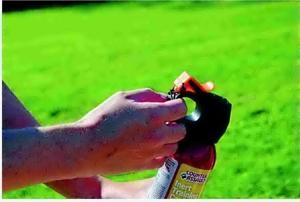 Groups petition FWP to require hunters to carry bear spray