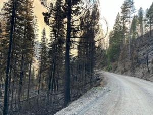 Fire forces temporary closure, delays on the Skalkaho Highway