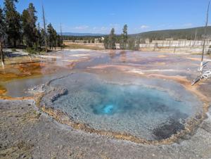 Yellowstone's famous 'thumper' hot springs
