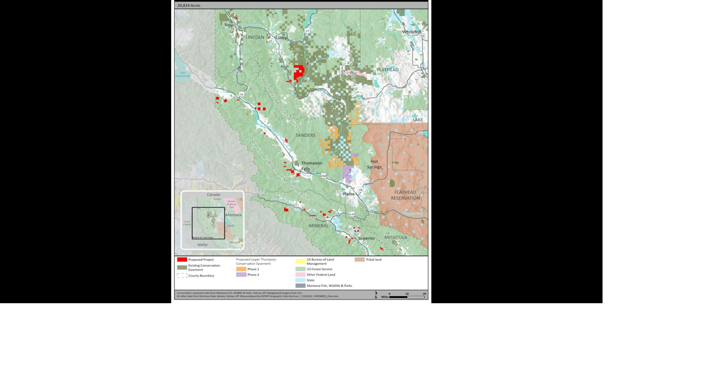 FWP eyes 20,000-acre easement on western Montana timber land