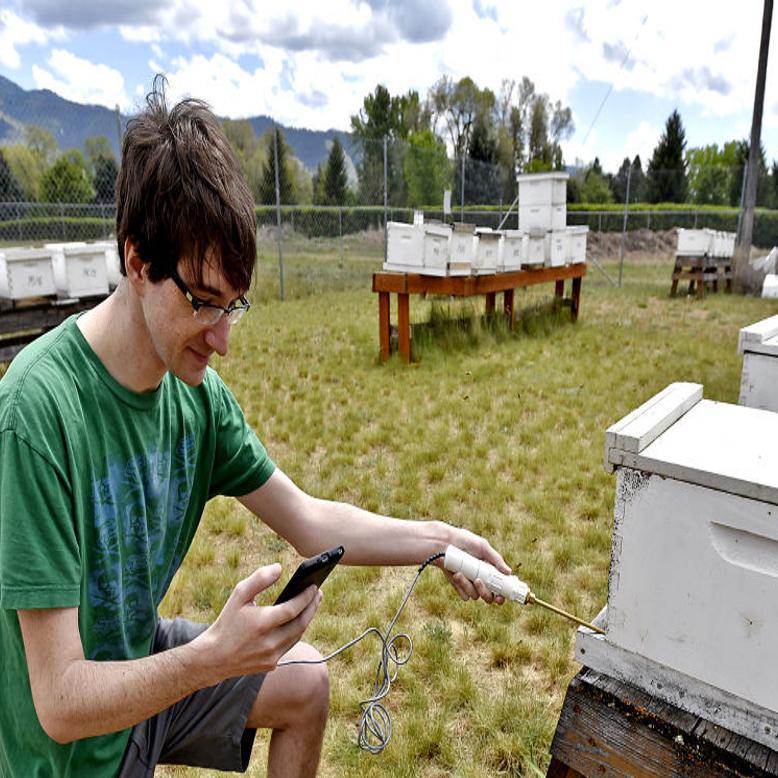 Um Students Create App To Test Bee Colony Health Using Sound