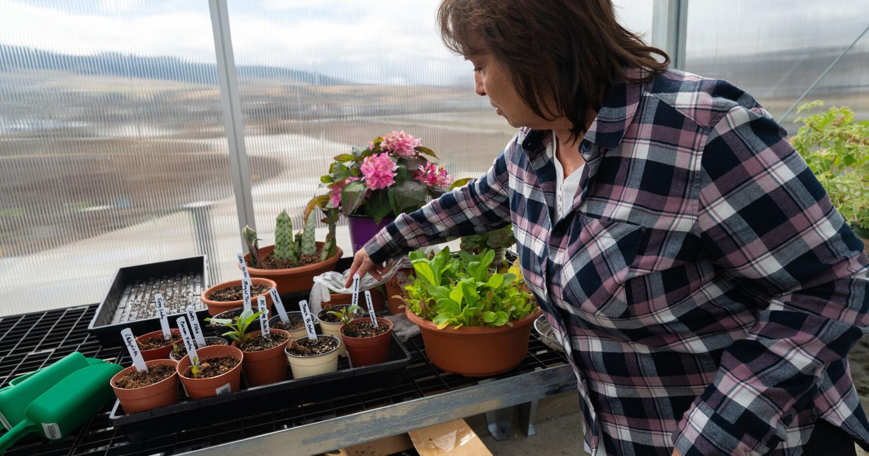 Plant clinic offers horticulture support to the Garden City - Vimarsana News